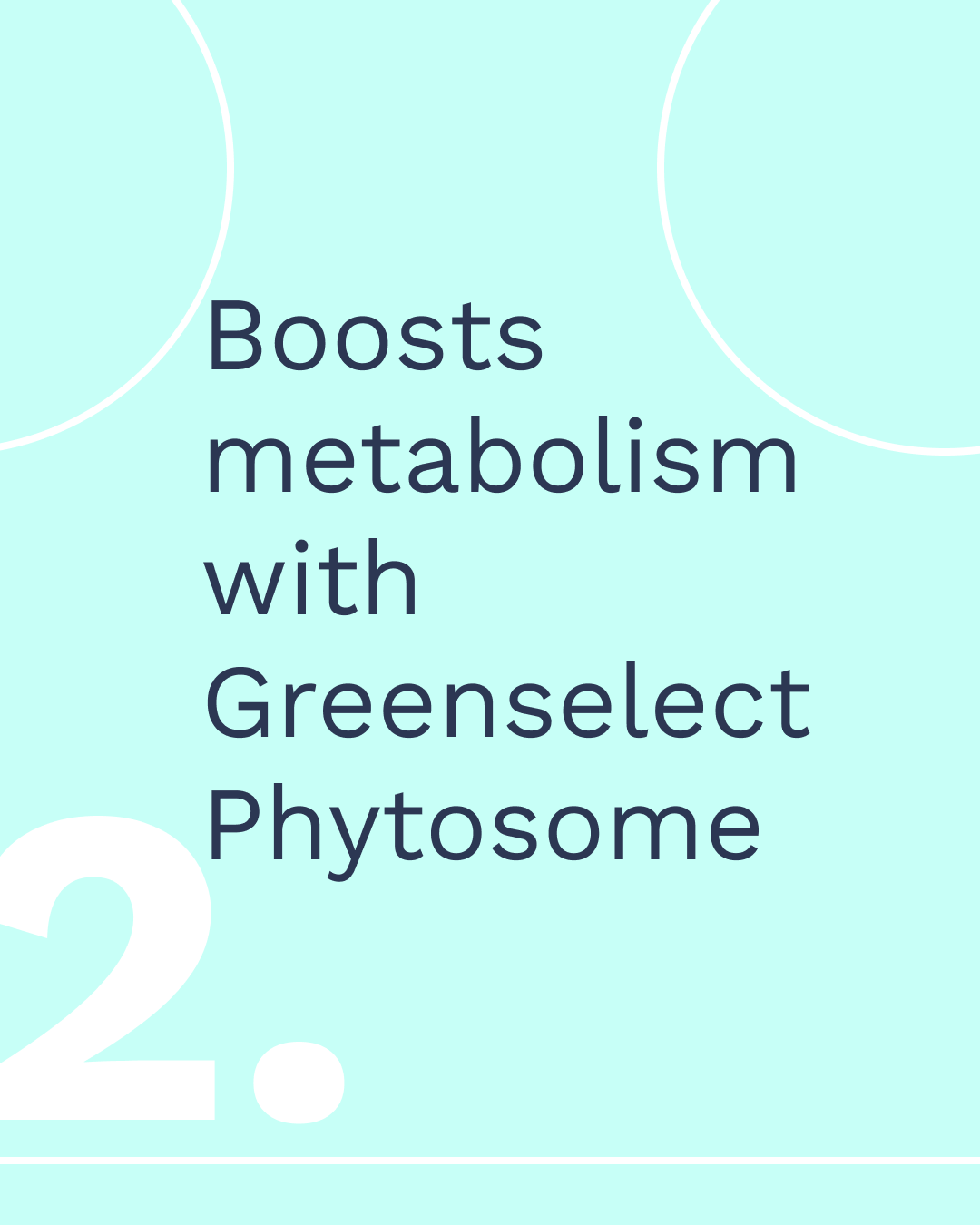 Metabolism Booster
